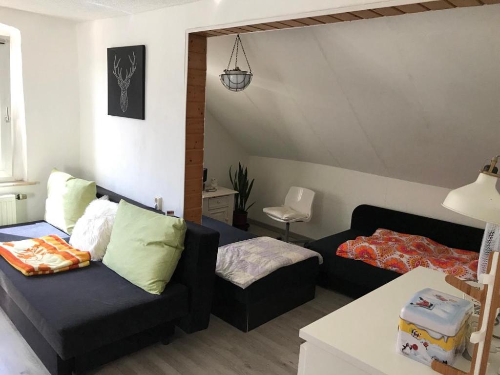 Ferienwohnung Im Einfamilienhaus, Automobil Und Robert Schumann Stadt اتسوكو المظهر الخارجي الصورة